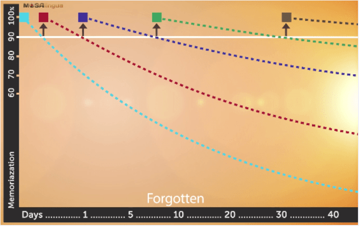 The Spaced Repitition System