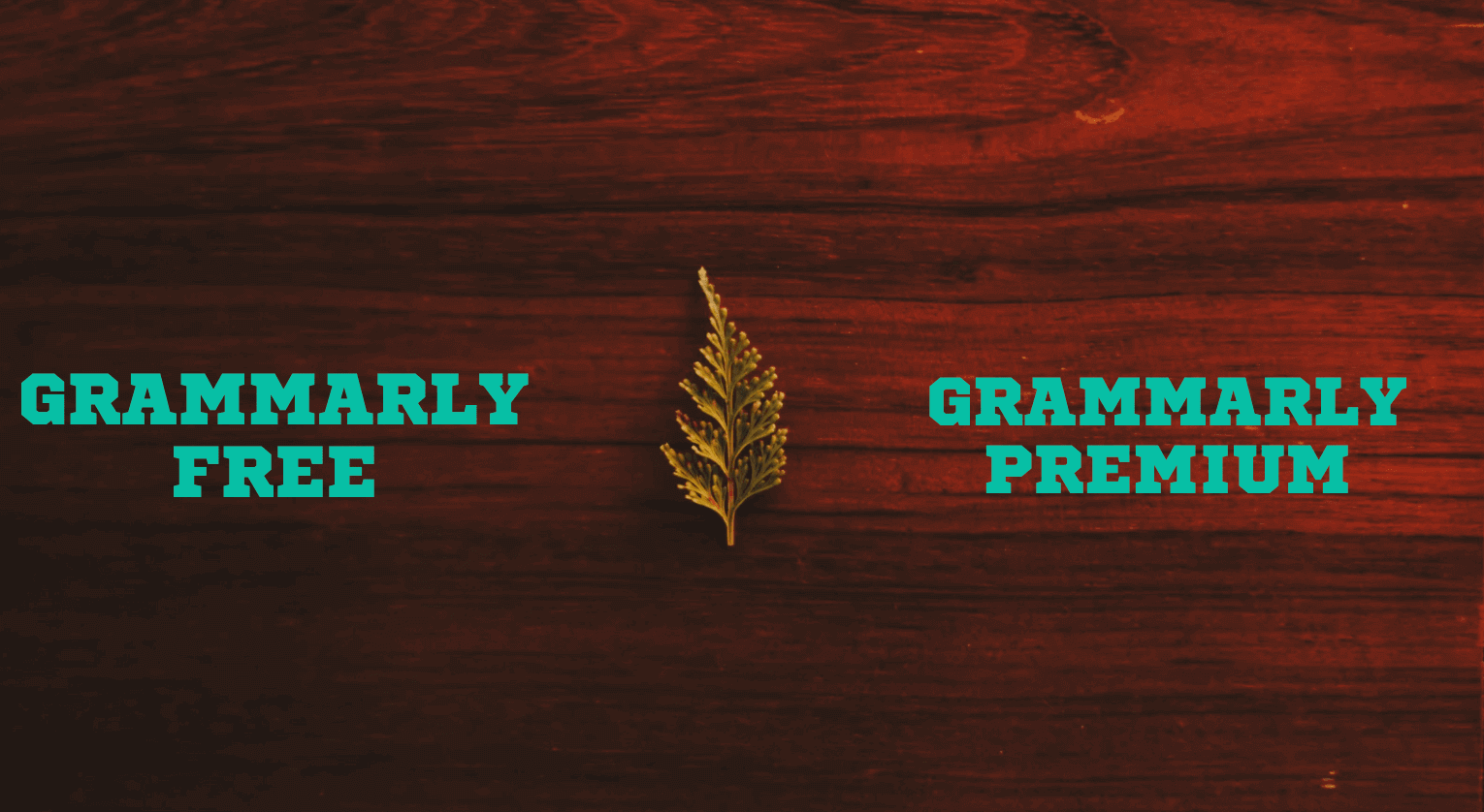 Grammarly-Free-vs-Premium-
