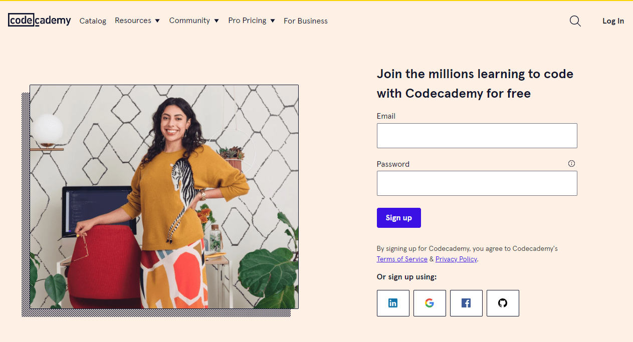 Codecademy Black Friday 2024 — Exclusive 50 Discount Offer