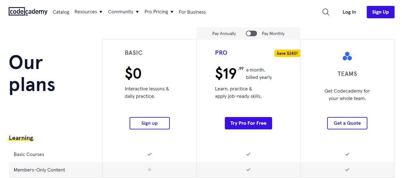 Codecademy Black Friday 2024 — Exclusive 50 Discount Offer